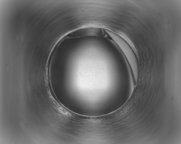 X0000072530996200607290219