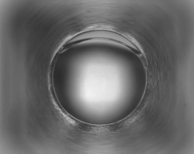 X0000072530997200607290219