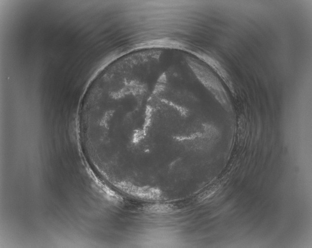 X0000072530998200607290219