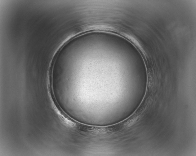 X0000072530999200607290219