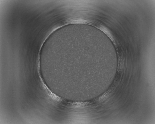 X0000072531000200607290219