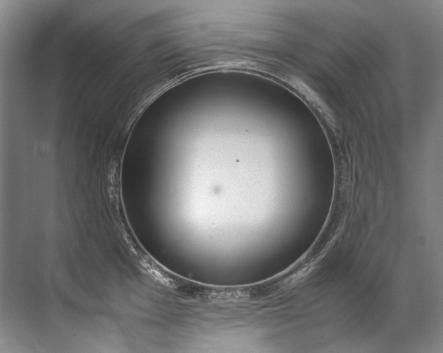 X0000072531001200607290219