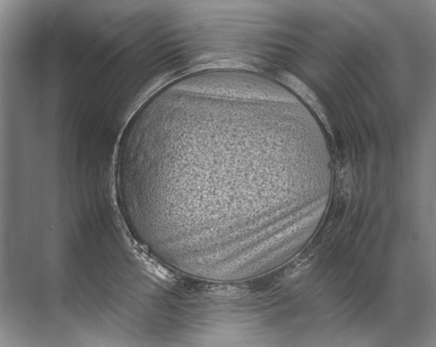 X0000072531002200607290219