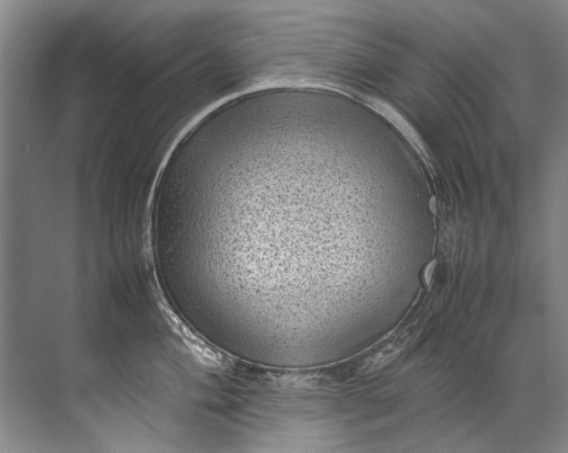 X0000072531004200607290219