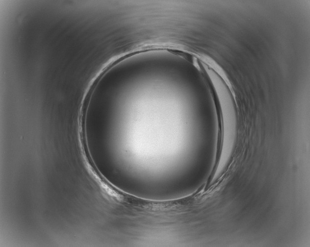 X0000072531005200607290219