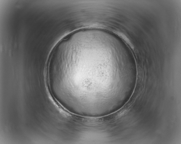 X0000072531007200607290219