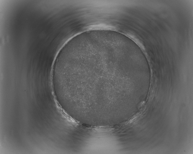 X0000072531008200607290219