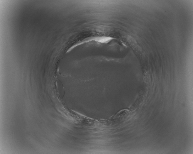 X0000072531009200607290218