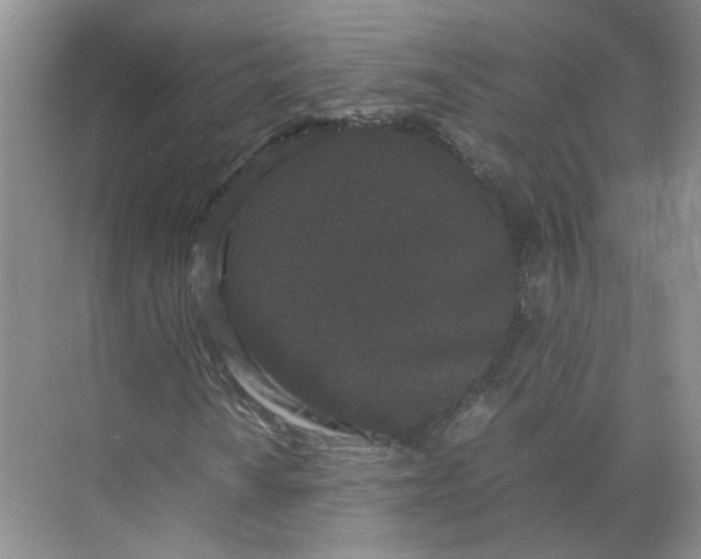 X0000072531010200607290218