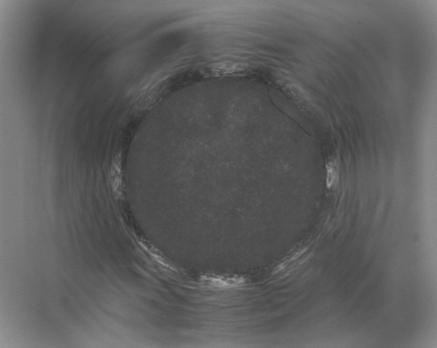 X0000072531011200607290218