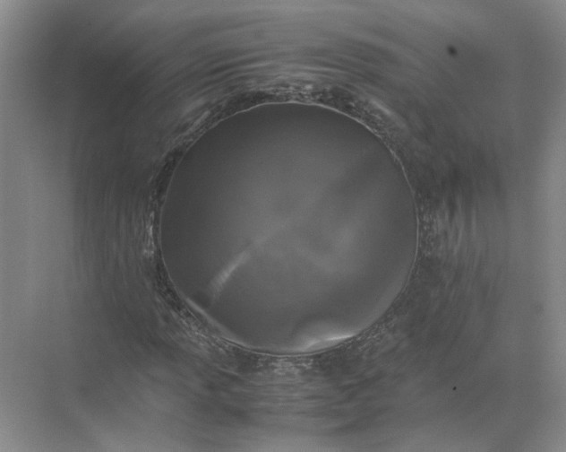 X0000072531013200607290218