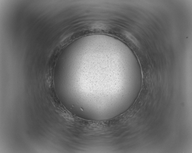 X0000072531015200607290219