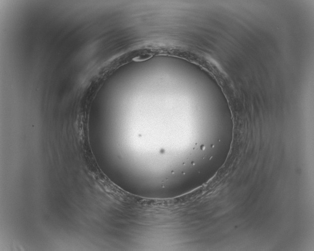 X0000072531016200607290219