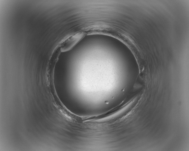 X0000072531018200607290219