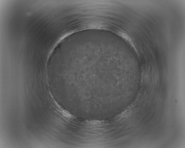 X0000072531019200607290219