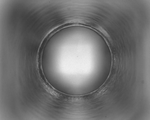 X0000072531020200607290219