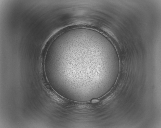 X0000072531021200607290219