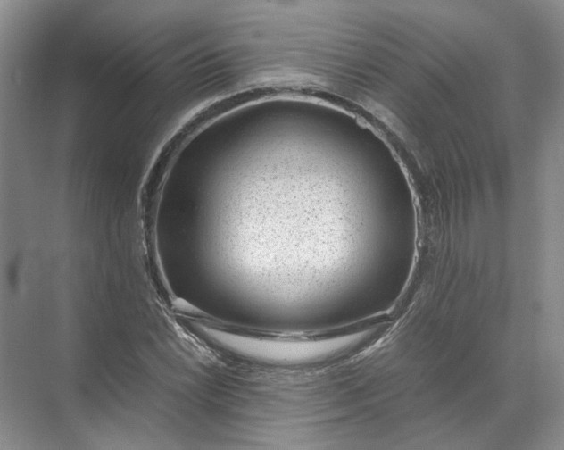 X0000072531022200607290219