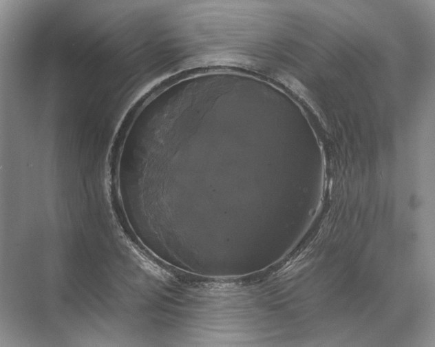 X0000072531024200607290219