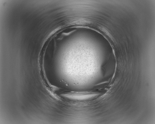 X0000072531026200607290219