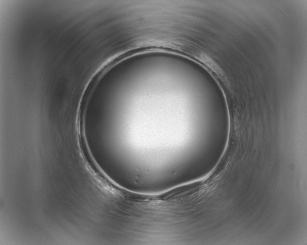 X0000072531028200607290219