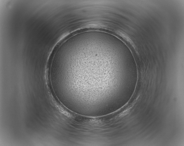 X0000072531029200607290219