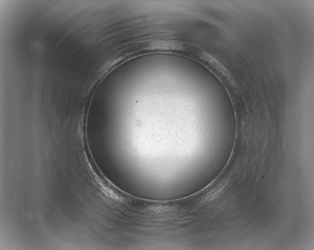 X0000072531033200607290219