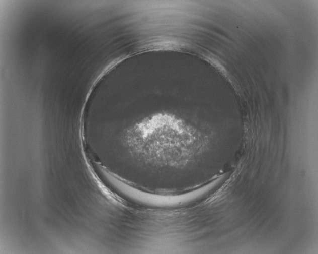 X0000072531034200607290219