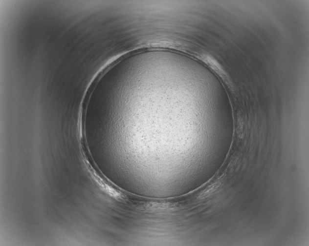 X0000072531036200607290219