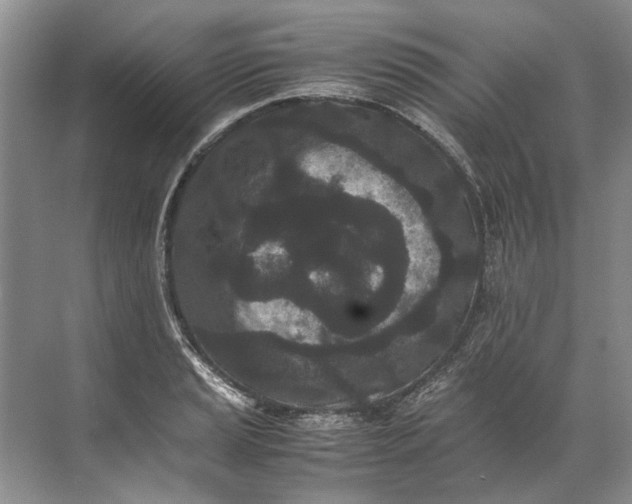 X0000072531037200607290219