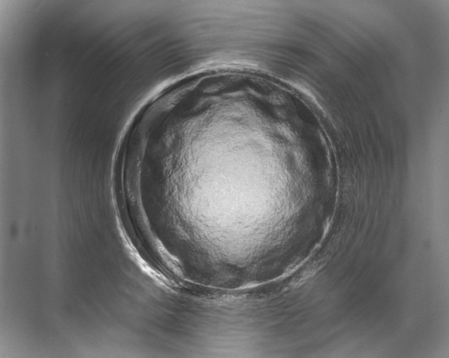 X0000072531038200607290219