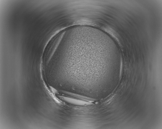 X0000072531040200607290219