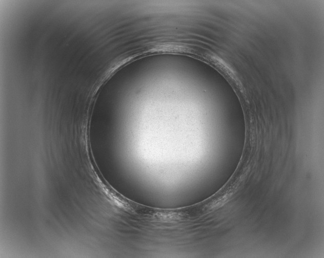 X0000072531041200607290219