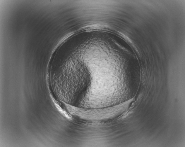 X0000072531042200607290219