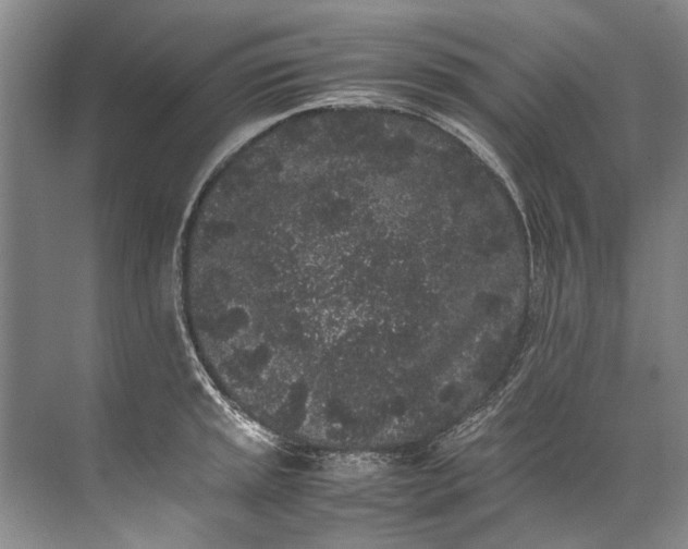 X0000072531045200607290219