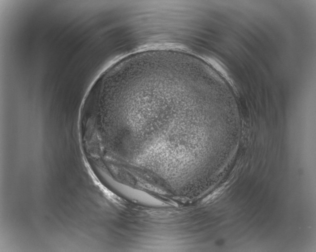 X0000072531046200607290219