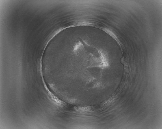 X0000072531047200607290219