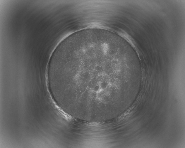 X0000072531048200607290219