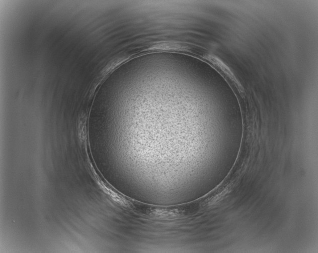 X0000072531049200607290219