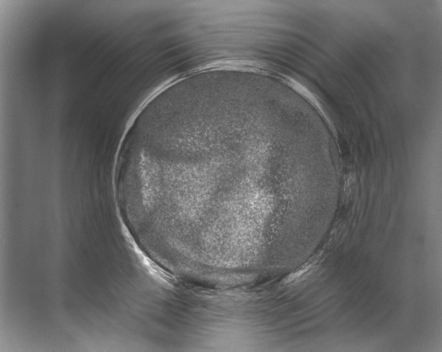 X0000072531050200607290219