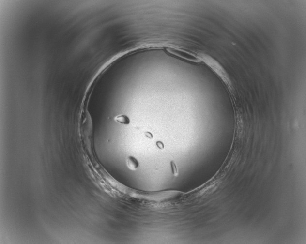 X0000072531052200607290219