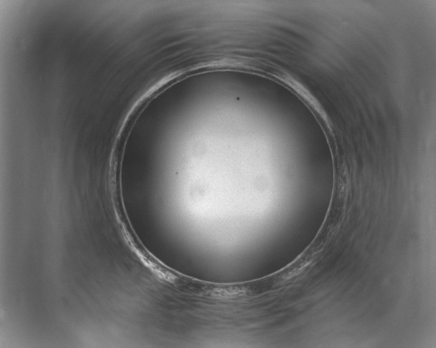 X0000072531053200607290219