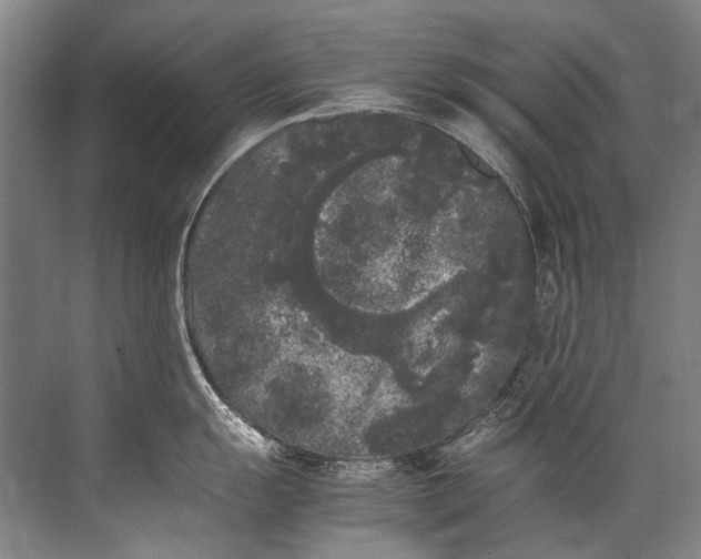 X0000072531055200607290219