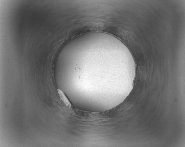 X0000072531057200607290218