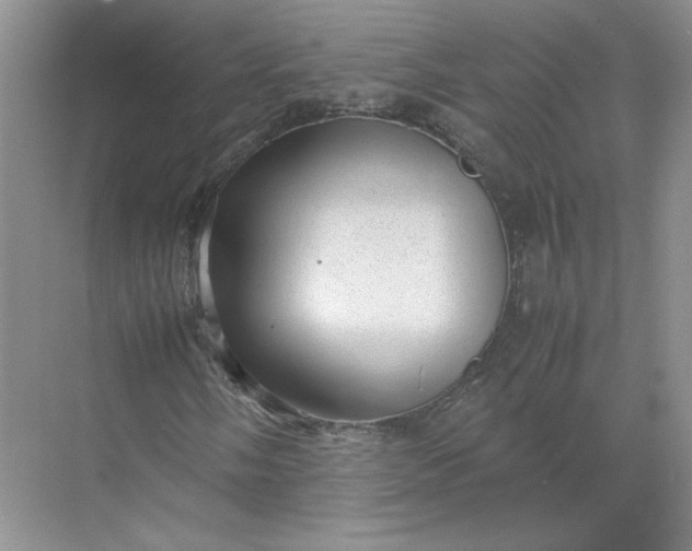 X0000072531058200607290218