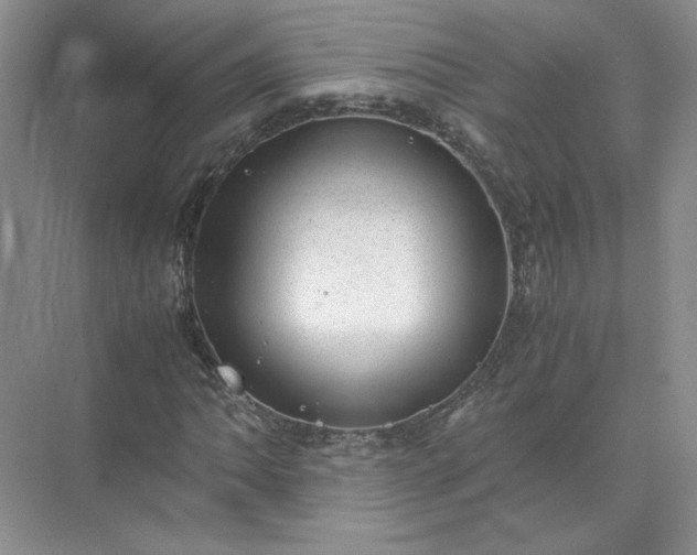 X0000072531062200607290218