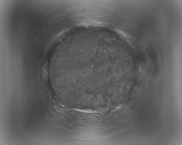 X0000072531063200607290218