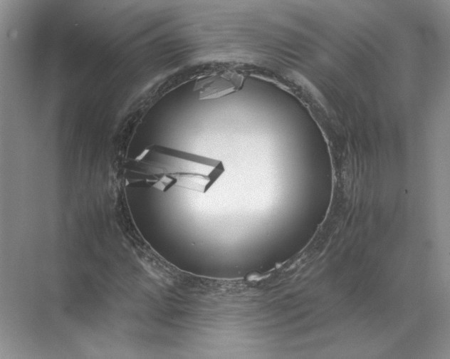 X0000072531064200607290218