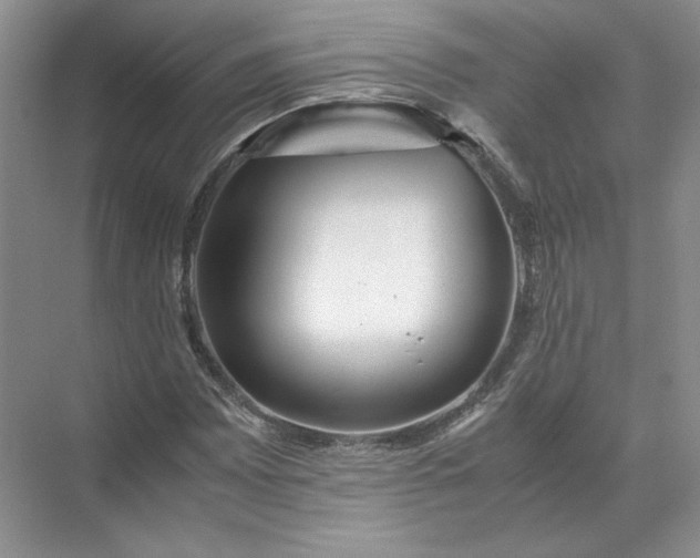 X0000072531065200607290218