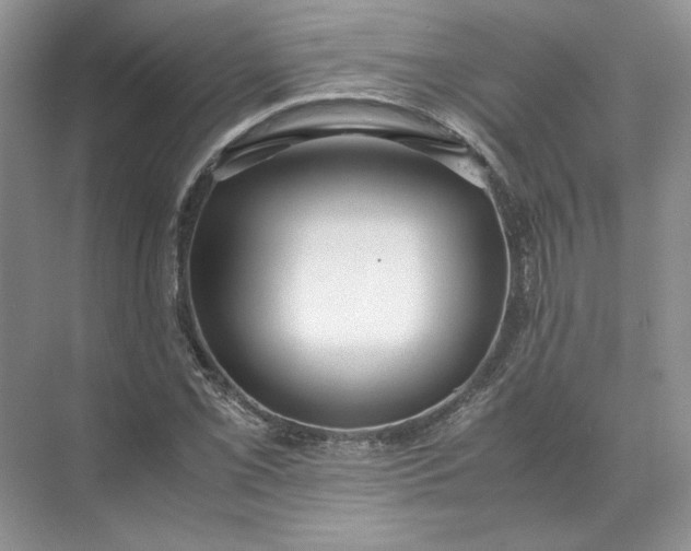 X0000072531069200607290218